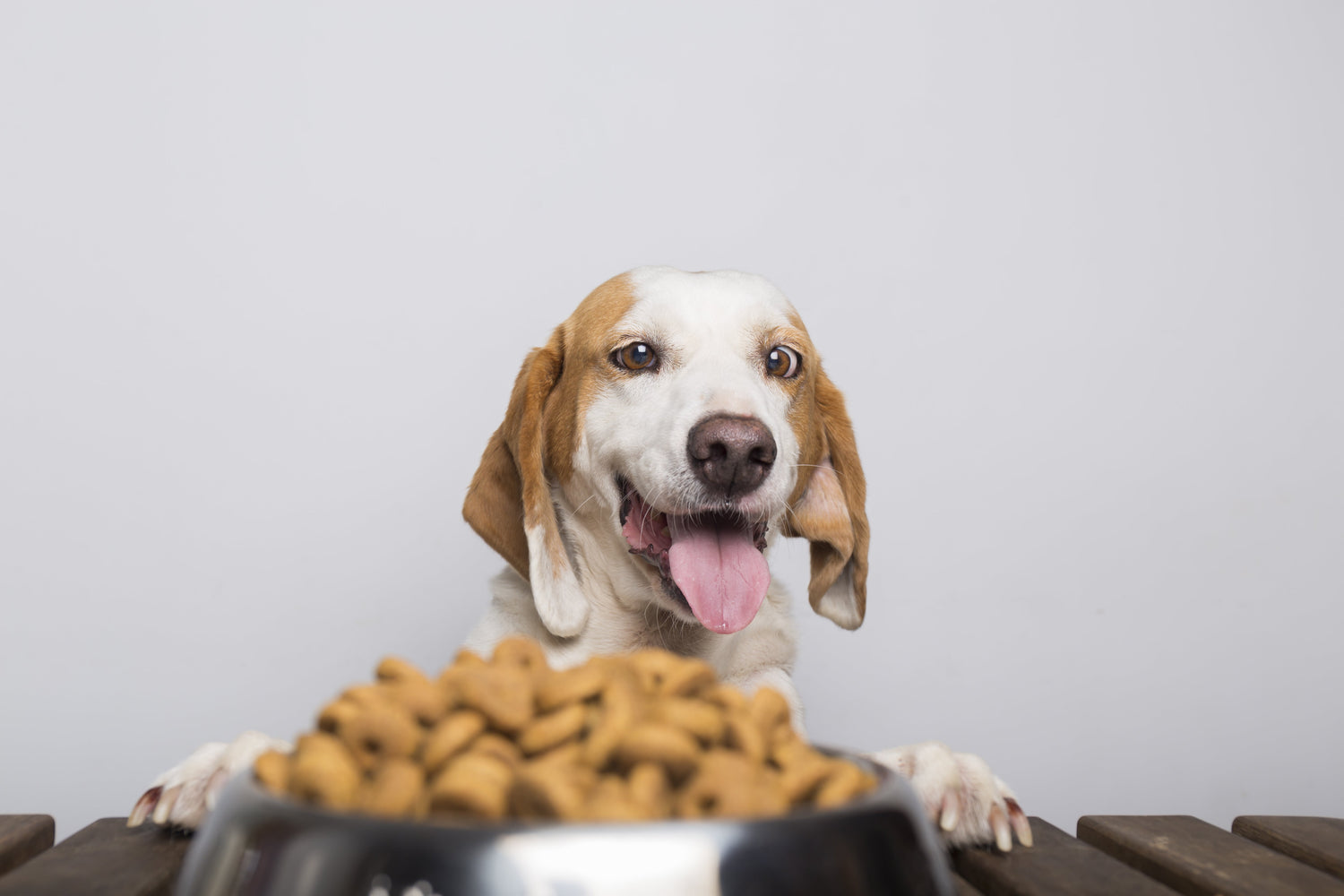 The Hidden Truth About Dog Treats: What You Need to Know