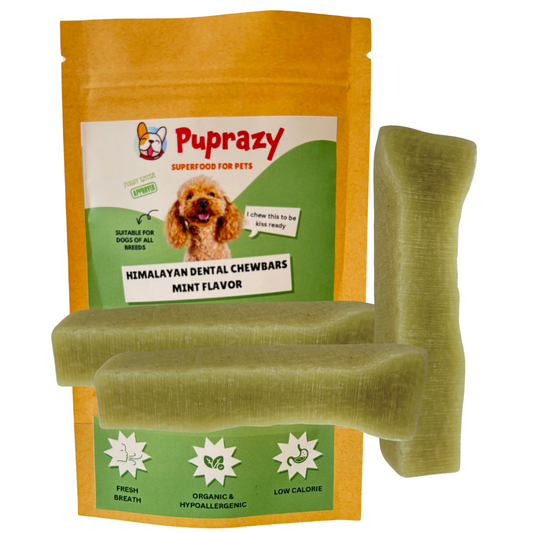 Mint flavor- Puprazy Yak Cheese Dog Chew| All life stages| Immunity Booster