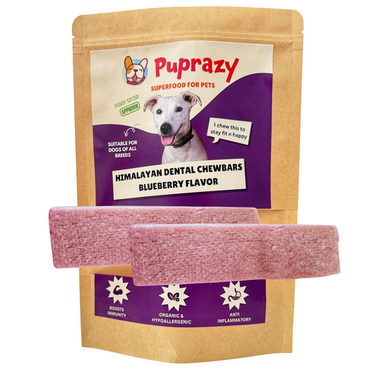 Blueberry flavor- Puprazy Yak Cheese Dog Chew| All life stages| Immunity Booster