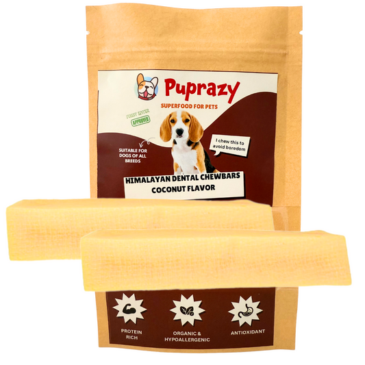 Coconut flavor- Puprazy Yak Cheese Dog Chew| All life stages| Immunity Booster