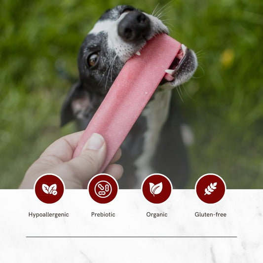 Puprazy Himalayan Dental Chewbars-CRANBERRY FLAVOR, Yak Cheese Dog Treats, Low Calorie, Organic, Summer treat