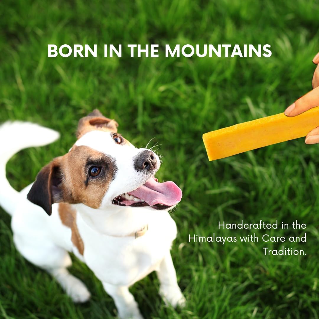 Puprazy Himalayan Dental Chewbars-MANGO FLAVOR, Yak Cheese Dog Treats, Low Calorie, Organic, Easily Digestible