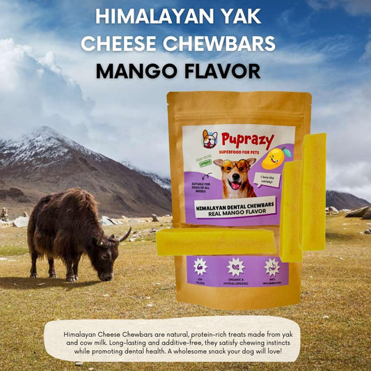 Puprazy Himalayan Dental Chewbars-MANGO FLAVOR, Yak Cheese Dog Treats, Low Calorie, Organic, Easily Digestible