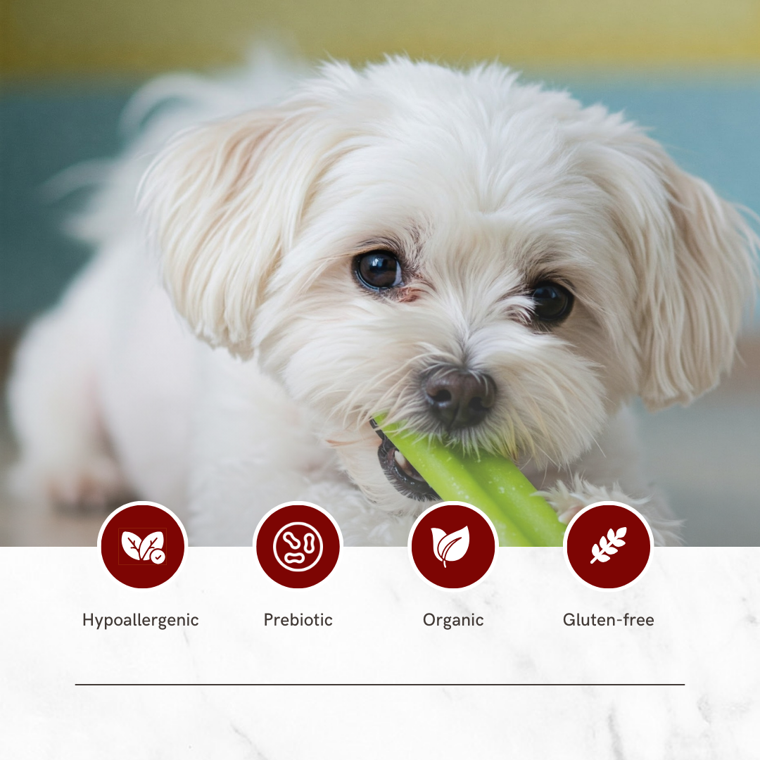 Mint flavor- Puprazy Yak Cheese Dog Chew| All life stages| Immunity Booster