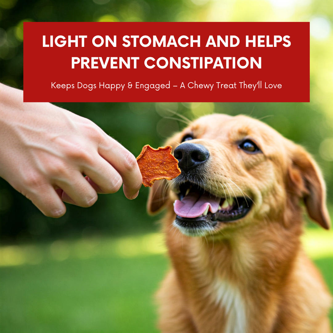 Puprazy Dehydrated Dog Chips, Pumpkin Carrot & Chicken Liver, All-Natural, No Additives (100g)