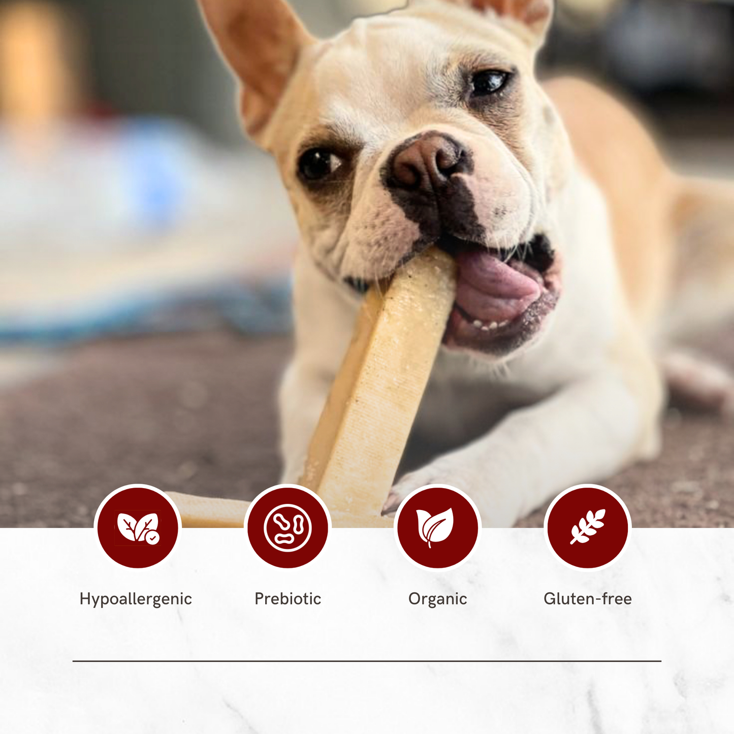 Coconut flavor- Puprazy Yak Cheese Dog Chew| All life stages| Immunity Booster