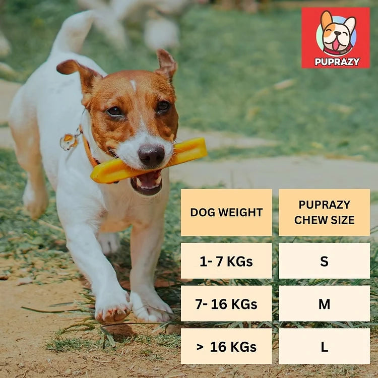 Puprazy Yak Cheese Dog Chew Bars| All life stages| 100% Organic