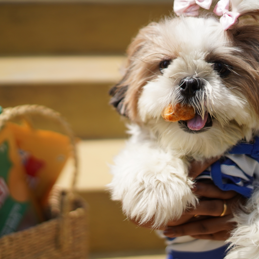 Puprazy Yak cheese puffed popcorn nuggets| Puppies, Adult dogs| Low fat