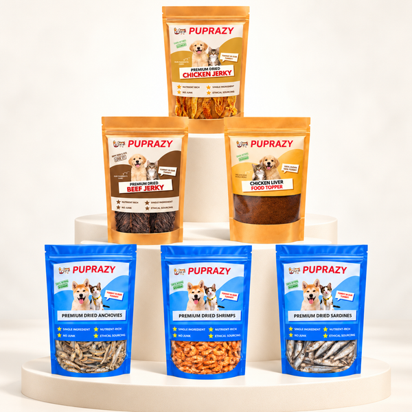 Best Cat Treats for Sensitive Stomachs: What to Look For