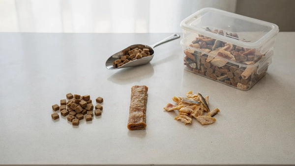 How to Choose Premium Dog Treats in the UAE