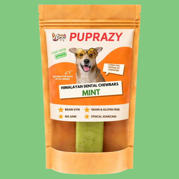 Do Mint Yak Chews Actually Help With Dog Bad Breath?
