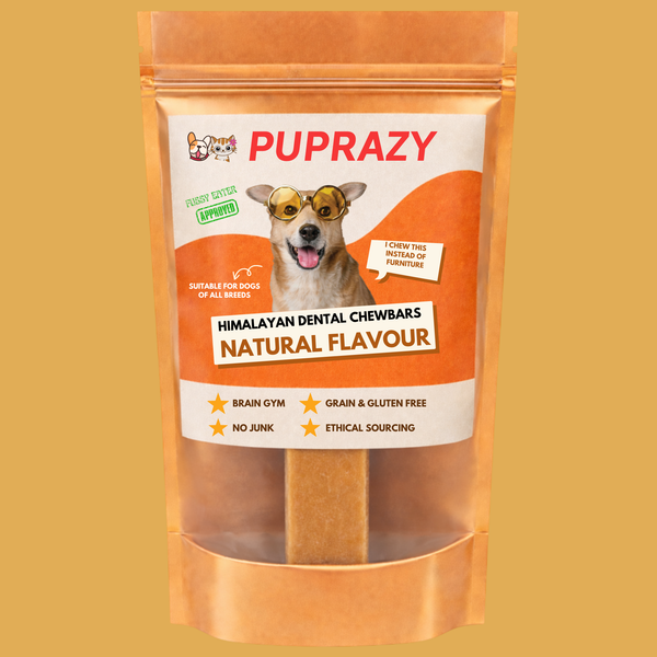 Are Yak Chews Safe for Dogs? What You Need to Know