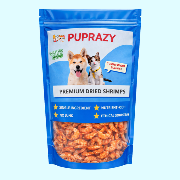 Can Dogs and Cats Eat Shrimp as a Meal Topper?