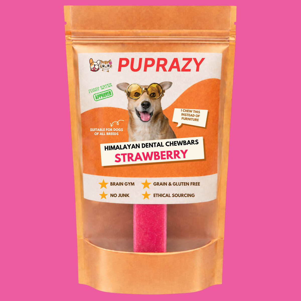 Best Chews for Anxious Dogs: What Actually Helps