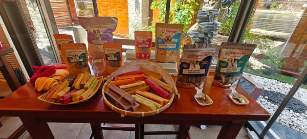 Best Pet Events in the UAE: What to Expect & How to Prep