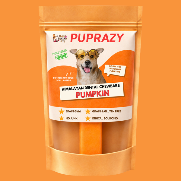 Do Pumpkin Yak Chews Actually Help Your Dog's Teeth?