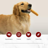 Puprazy Himalayan Dental Chewbars-MANGO FLAVOR, Yak Cheese Dog Treats, Low Calorie, Organic, Easily Digestible