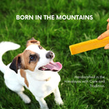 Puprazy Himalayan Dental Chewbars-MANGO FLAVOR, Yak Cheese Dog Treats, Low Calorie, Organic, Easily Digestible