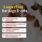 Dehydrated seafood cocktail treats| Dogs, Cats| Prawns, Anchovies, Sardines (70g, All 3)
