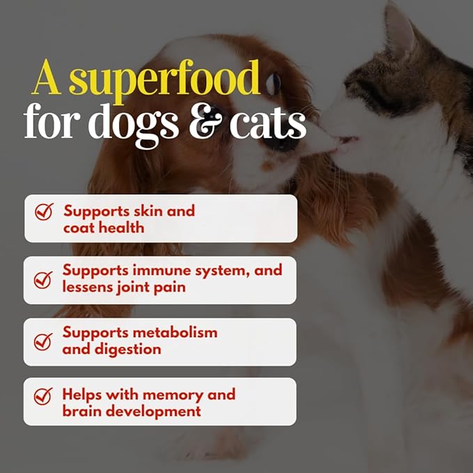 Dehydrated seafood cocktail treats| Dogs, Cats| Prawns, Anchovies, Sardines (70g, All 3)