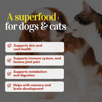 Dehydrated seafood cocktail treats| Dogs, Cats| Prawns, Anchovies, Sardines (70g, All 3)