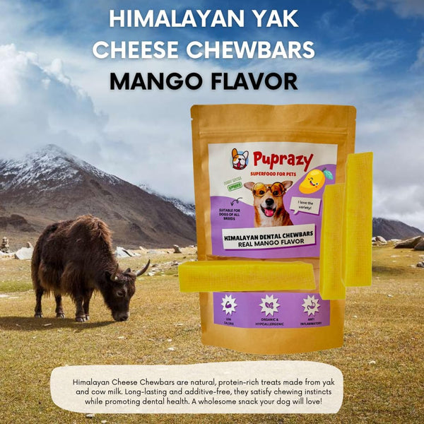 Puprazy Himalayan Dental Chewbars-MANGO FLAVOR, Yak Cheese Dog Treats, Low Calorie, Organic, Easily Digestible
