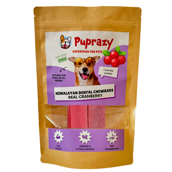 Puprazy Himalayan Dental Chewbars-CRANBERRY FLAVOR, Yak Cheese Dog Treats, Low Calorie, Organic, Summer treat