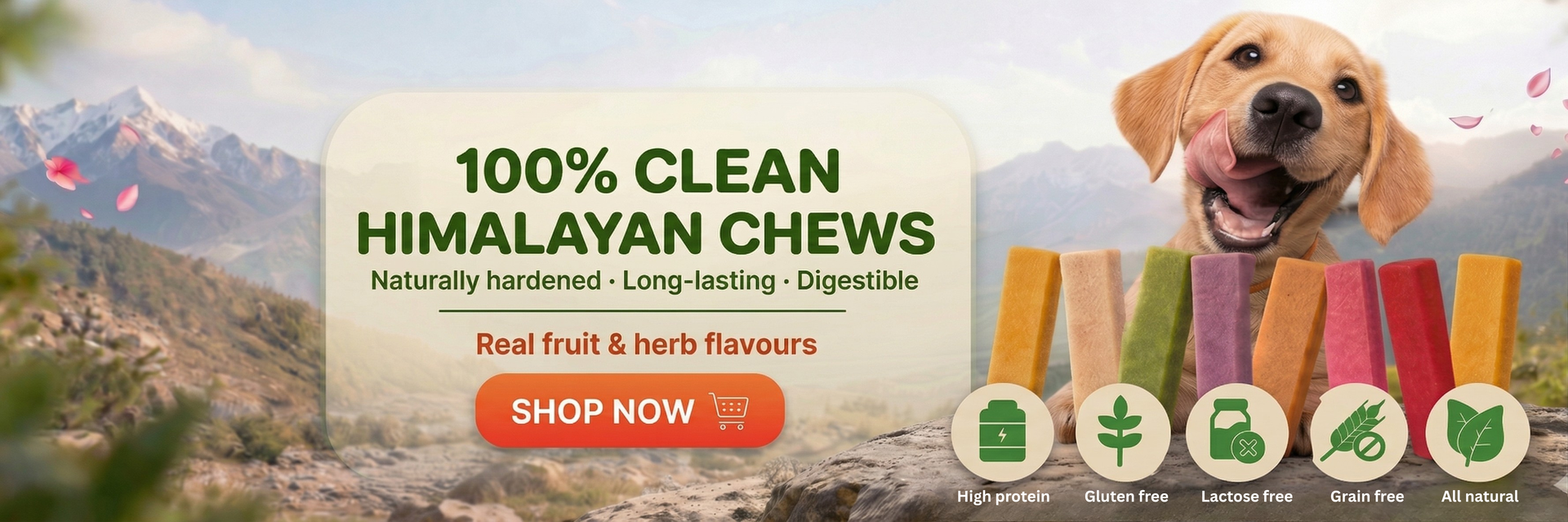 Beagle with Puprazy natural dog treats — made with love, just for your dog