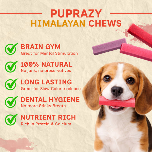 Puprazy Himalayan Dog Chew Bars - 8 Flavor Range