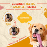Puprazy Himalayan Dog Chew Bars - 8 Flavor Range
