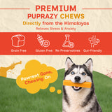 Puprazy Himalayan Dog Chew Bars - 8 Flavor Range