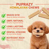Coconut flavor- Puprazy Yak Cheese Dog Chew| All life stages| Immunity Booster