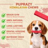 Puprazy Himalayan Dental Chewbars - Cranberry