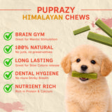 Puprazy Himalayan Yak Cheese Dog Chew Bars - Mint