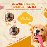 Puprazy Himalayan Dog Chew| All 9 flavors| Mix & Match