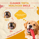Puprazy Himalayan Dental Chewbars - Cranberry