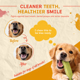 Puprazy Himalayan Yak Cheese Dog Chew Bars - Mint