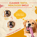 Puprazy Himalayan Dental Chewbars - Blueberry