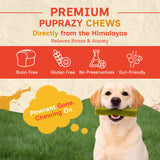 Puprazy Himalayan Yak Cheese Dog Chew Bars - Mint