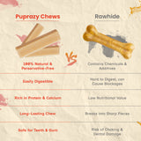 Coconut flavor- Puprazy Yak Cheese Dog Chew| All life stages| Immunity Booster