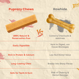 Puprazy Himalayan Yak Cheese Dog Chew Bars - Natural Cheese