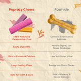 Puprazy Himalayan Chews with Real Fruit - 9 healthy flavours