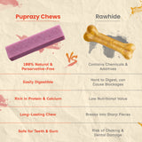 Puprazy Himalayan Dental Chewbars - Blueberry