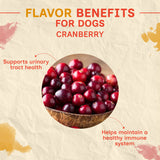 Puprazy Himalayan Dental Chewbars - Cranberry