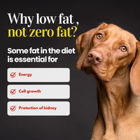 100% Organic Chicken Slice Jerky for Dogs | Single Ingredient