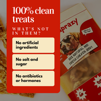 100% Organic Chicken Slice Jerky for Dogs | Single Ingredient