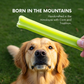 Mint flavor- Puprazy Yak Cheese Dog Chew| All life stages| Immunity Booster