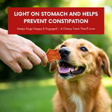Puprazy Dehydrated Dog Chips, Pumpkin Carrot & Chicken Liver, All-Natural, No Additives (100g)
