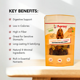 Puprazy Dehydrated Dog Chips, Pumpkin Carrot & Chicken Liver, All-Natural, No Additives (100g)
