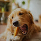 Puprazy Yak Cheese Dog Chew Bars| All life stages| 100% Organic